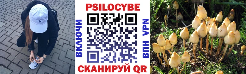 Псилоцибиновые грибы ЛСД Нерюнгри